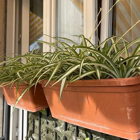 Апартаменты Civico 32 *